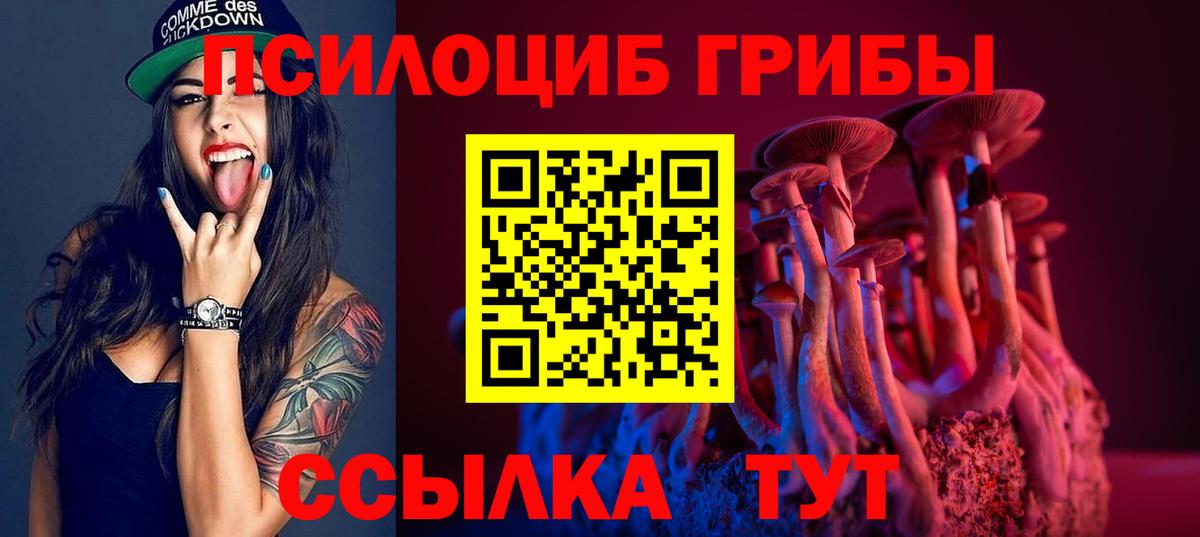 Воронеж  Псилоцибиновые грибы Magic Shrooms  Вход с VPN 